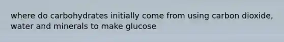 where do carbohydrates initially come from using carbon dioxide, water and minerals to make glucose