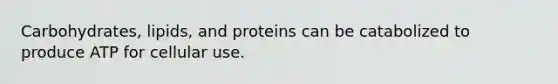 Carbohydrates, lipids, and proteins can be catabolized to produce ATP for cellular use.