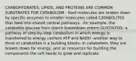 CARBOHYDRATES, LIPIDS, AND PROTEINS ARE COMMON SUBSTRATES FOR CATABOLISM - food molecules are broken down by specific enzymes to smaller molecules called CATABOLITES that feed into shared central pathways. -for example, the catabolite glucose from starch breakdown enters GLYCOLYSIS- a pathway of step-by-step catabolism in which energy is transferred to energy carriers ATP and NADH -another way to think of catabolites is a building blocks- in catabolism, they are broken down for energy, and as resources for building the components the cell needs to grow and replicate.
