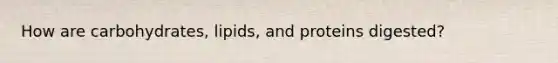 How are carbohydrates, lipids, and proteins digested?