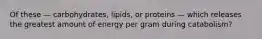 Of these — carbohydrates, lipids, or proteins — which releases the greatest amount of energy per gram during catabolism?