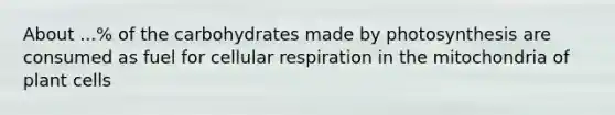 About ...% of the carbohydrates made by photosynthesis are consumed as fuel for cellular respiration in the mitochondria of plant cells