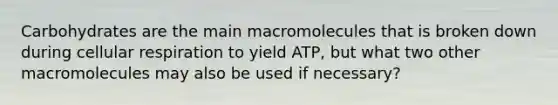 Carbohydrates are the main macromolecules that is broken down during <a href='https://www.questionai.com/knowledge/k1IqNYBAJw-cellular-respiration' class='anchor-knowledge'>cellular respiration</a> to yield ATP, but what two other macromolecules may also be used if necessary?