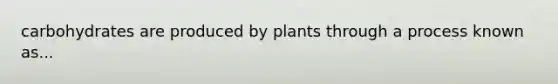 carbohydrates are produced by plants through a process known as...