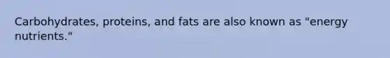 Carbohydrates, proteins, and fats are also known as "energy nutrients."