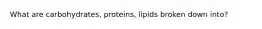 What are carbohydrates, proteins, lipids broken down into?