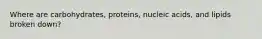 Where are carbohydrates, proteins, nucleic acids, and lipids broken down?