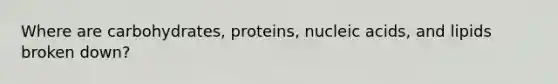 Where are carbohydrates, proteins, nucleic acids, and lipids broken down?