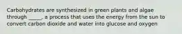 Carbohydrates are synthesized in green plants and algae through _____, a process that uses the energy from the sun to convert carbon dioxide and water into glucose and oxygen