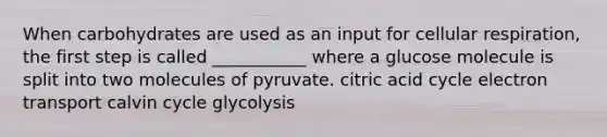 When carbohydrates are used as an input for cellular respiration, the first step is called ___________ where a glucose molecule is split into two molecules of pyruvate. citric acid cycle electron transport calvin cycle glycolysis