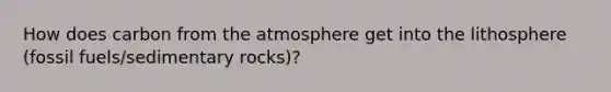 How does carbon from the atmosphere get into the lithosphere (fossil fuels/sedimentary rocks)?