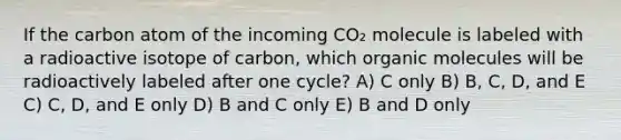 If the carbon atom of the incoming CO₂ molecule is labeled with a radioactive isotope of carbon, which <a href='https://www.questionai.com/knowledge/kjUwUacPFG-organic-molecules' class='anchor-knowledge'>organic molecules</a> will be radioactively labeled after one cycle? A) C only B) B, C, D, and E C) C, D, and E only D) B and C only E) B and D only