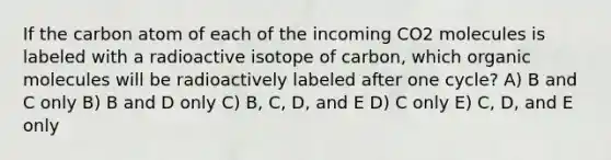 If the carbon atom of each of the incoming CO2 molecules is labeled with a radioactive isotope of carbon, which organic molecules will be radioactively labeled after one cycle? A) B and C only B) B and D only C) B, C, D, and E D) C only E) C, D, and E only