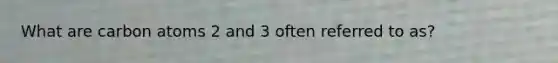What are carbon atoms 2 and 3 often referred to as?