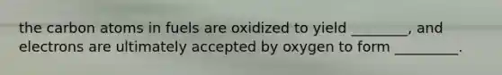 the carbon atoms in fuels are oxidized to yield ________, and electrons are ultimately accepted by oxygen to form _________.