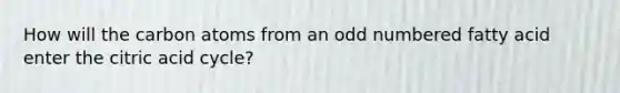 How will the carbon atoms from an odd numbered fatty acid enter the citric acid cycle?