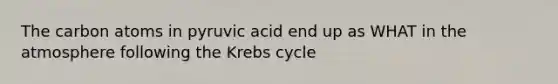 The carbon atoms in pyruvic acid end up as WHAT in the atmosphere following the Krebs cycle