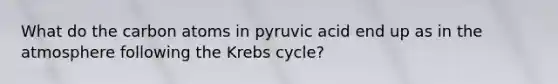 What do the carbon atoms in pyruvic acid end up as in the atmosphere following the Krebs cycle?