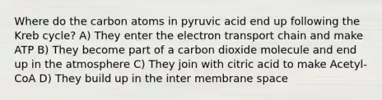 Where do the carbon atoms in pyruvic acid end up following the Kreb cycle? A) They enter the electron transport chain and make ATP B) They become part of a carbon dioxide molecule and end up in the atmosphere C) They join with citric acid to make Acetyl-CoA D) They build up in the inter membrane space