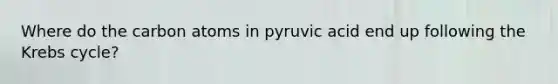 Where do the carbon atoms in pyruvic acid end up following the Krebs cycle? ​