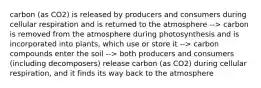 carbon (as CO2) is released by producers and consumers during cellular respiration and is returned to the atmosphere --> carbon is removed from the atmosphere during photosynthesis and is incorporated into plants, which use or store it --> carbon compounds enter the soil --> both producers and consumers (including decomposers) release carbon (as CO2) during cellular respiration, and it finds its way back to the atmosphere