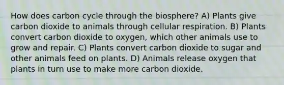 How does carbon cycle through the biosphere? A) Plants give carbon dioxide to animals through cellular respiration. B) Plants convert carbon dioxide to oxygen, which other animals use to grow and repair. C) Plants convert carbon dioxide to sugar and other animals feed on plants. D) Animals release oxygen that plants in turn use to make more carbon dioxide.