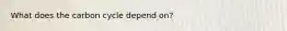 What does the carbon cycle depend on?