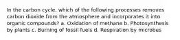 In the carbon cycle, which of the following processes removes carbon dioxide from the atmosphere and incorporates it into organic compounds? a. Oxidation of methane b. Photosynthesis by plants c. Burning of fossil fuels d. Respiration by microbes