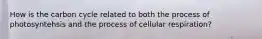 How is the carbon cycle related to both the process of photosyntehsis and the process of cellular respiration?