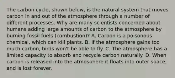 The carbon cycle, shown below, is the natural system that moves carbon in and out of the atmosphere through a number of different processes. Why are many scientists concerned about humans adding large amounts of carbon to the atmosphere by burning fossil fuels (combustion)? A. Carbon is a poisonous chemical, which can kill plants. B. If the atmosphere gains too much carbon, birds won't be able to fly. C. The atmosphere has a limited capacity to absorb and recycle carbon naturally. D. When carbon is released into the atmosphere it floats into outer space, and is lost forever.