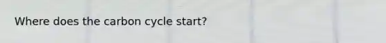 Where does the carbon cycle start?