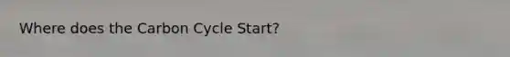 Where does the Carbon Cycle Start?