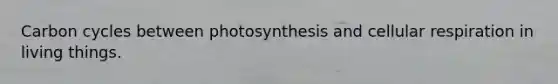 Carbon cycles between photosynthesis and cellular respiration in living things.