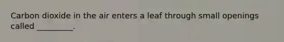 Carbon dioxide in the air enters a leaf through small openings called _________.