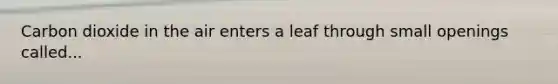 Carbon dioxide in the air enters a leaf through small openings called...