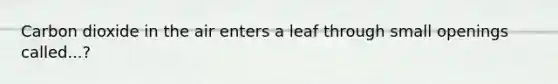 Carbon dioxide in the air enters a leaf through small openings called...?