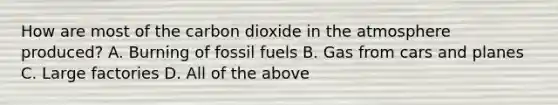 How are most of the carbon dioxide in the atmosphere produced? A. Burning of fossil fuels B. Gas from cars and planes C. Large factories D. All of the above