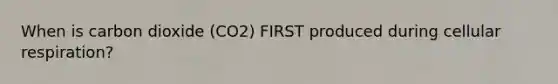 When is carbon dioxide (CO2) FIRST produced during cellular respiration?