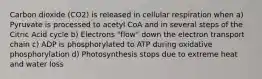 Carbon dioxide (CO2) is released in cellular respiration when a) Pyruvate is processed to acetyl CoA and in several steps of the Citric Acid cycle b) Electrons "flow" down the electron transport chain c) ADP is phosphorylated to ATP during oxidative phosphorylation d) Photosynthesis stops due to extreme heat and water loss