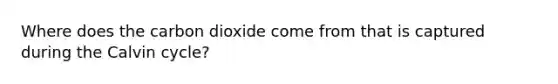 Where does the carbon dioxide come from that is captured during the Calvin cycle?