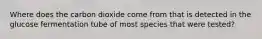 Where does the carbon dioxide come from that is detected in the glucose fermentation tube of most species that were tested?