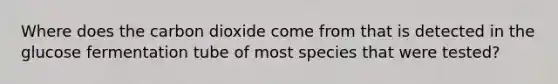 Where does the carbon dioxide come from that is detected in the glucose fermentation tube of most species that were tested?
