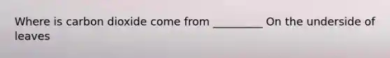 Where is carbon dioxide come from _________ On the underside of leaves