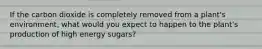 If the carbon dioxide is completely removed from a plant's environment, what would you expect to happen to the plant's production of high energy sugars?