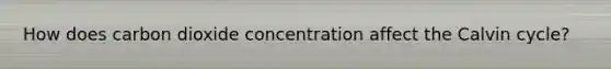 How does carbon dioxide concentration affect the Calvin cycle?