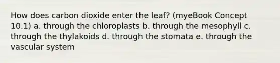 How does carbon dioxide enter the leaf? (myeBook Concept 10.1) a. through the chloroplasts b. through the mesophyll c. through the thylakoids d. through the stomata e. through the vascular system