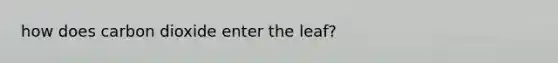 how does carbon dioxide enter the leaf?