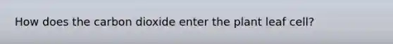 How does the carbon dioxide enter the plant leaf cell?
