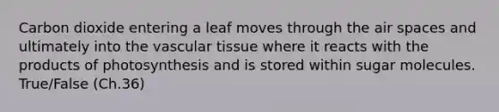 Carbon dioxide entering a leaf moves through the air spaces and ultimately into the <a href='https://www.questionai.com/knowledge/k1HVFq17mo-vascular-tissue' class='anchor-knowledge'>vascular tissue</a> where it reacts with the products of photosynthesis and is stored within sugar molecules. True/False (Ch.36)