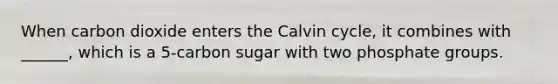 When carbon dioxide enters the Calvin cycle, it combines with ______, which is a 5-carbon sugar with two phosphate groups.